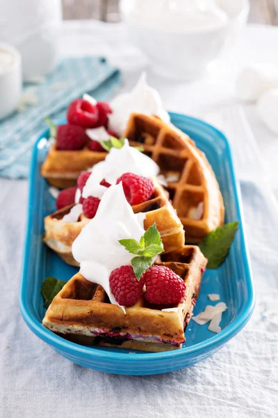 Coconut raspberry waffles — Stock Photo, Image