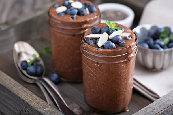 Zdravé veganské chia čokoládový pudink Stock Obrázky