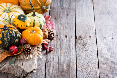 Kabaklar ve squash çeşitli