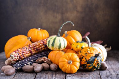 Kabaklar, Mısır ve squash çeşitli
