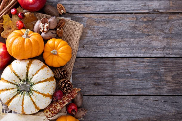 Calabazas, nueces, maíz indio y manzanas — Foto de Stock