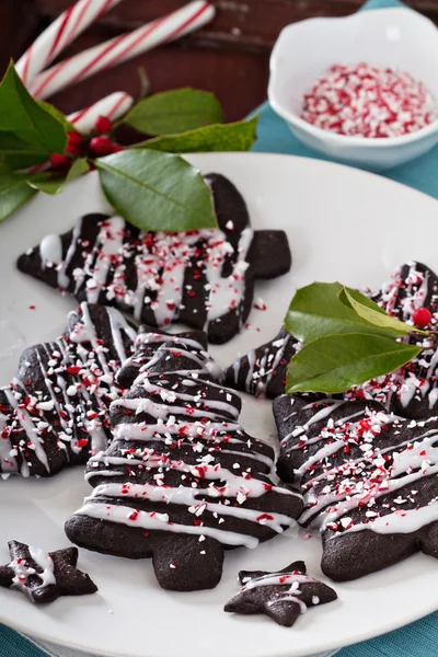 Čokoládové cookies k Vánocům — Stock fotografie