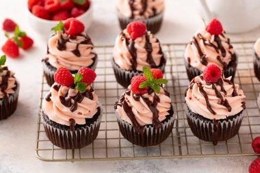 Sevgililer Günü 'nde üzerinde ahududu ve çikolata sosu olan pembe kremalı ahudududulu kekler.