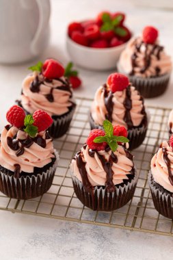 Ahududu çikolatalı kekler pembe kremalı ve üstünde taze ahududu ve çikolata soslu.