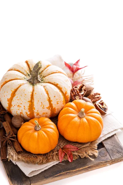 Pumpkin still life isolated on white Stock Photo