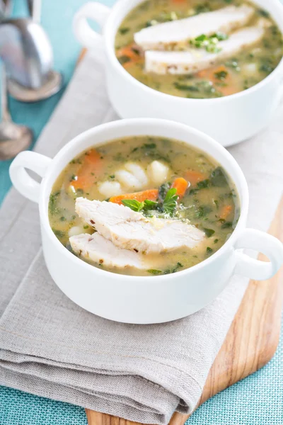 Sopa de nhoque de frango com legumes — Fotografia de Stock