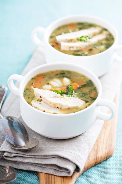 Zuppa di gnocchi di pollo con verdure — Foto Stock