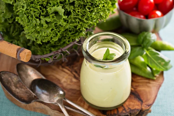 Cremige vegane Avocadosauce — Stockfoto