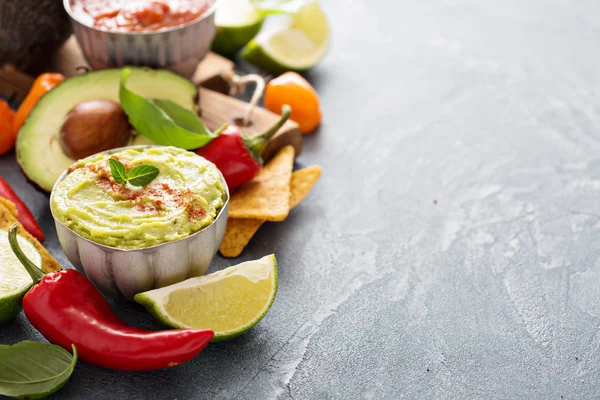 Ingredienti della cucina messicana e guacamole — Foto Stock