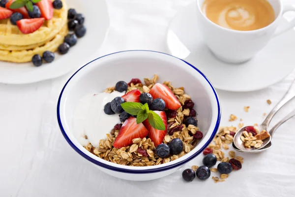 Granola with fresh berries in a bowl — Stock Photo, Image