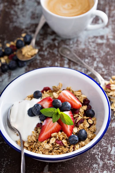 Granola with fresh berries in a bowl — Stock Photo, Image