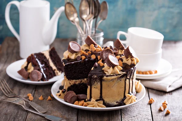 Schokolade Erdnussbutter Kuchen mit Zuckerguss — Stockfoto