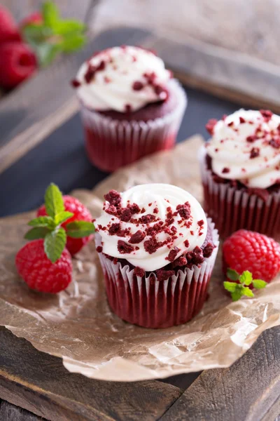 Pastelitos de terciopelo rojo en pergamino — Foto de Stock