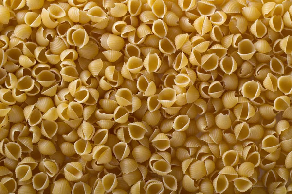 Těstoviny conchiglie pozadí — Stock fotografie