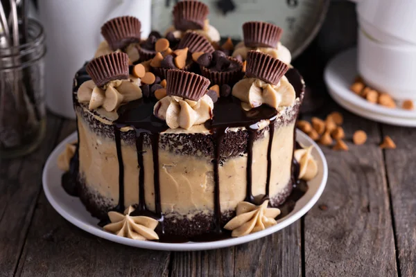 Torta csokoládé mogyoróvaj cukormáz — Stock Fotó