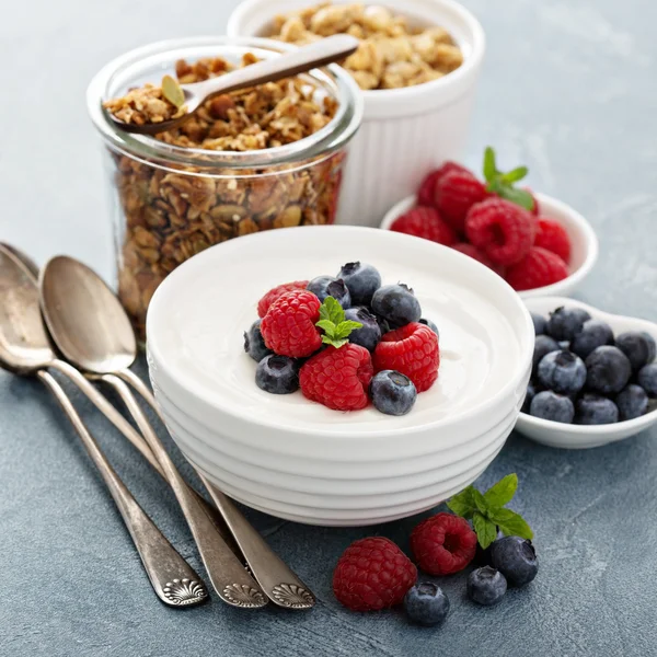 Natural yogurt in a bowl with berries — Stock Photo, Image