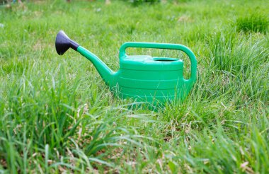 Yeni yeşil sulama olabilir ayakta çimenlerin üzerinde