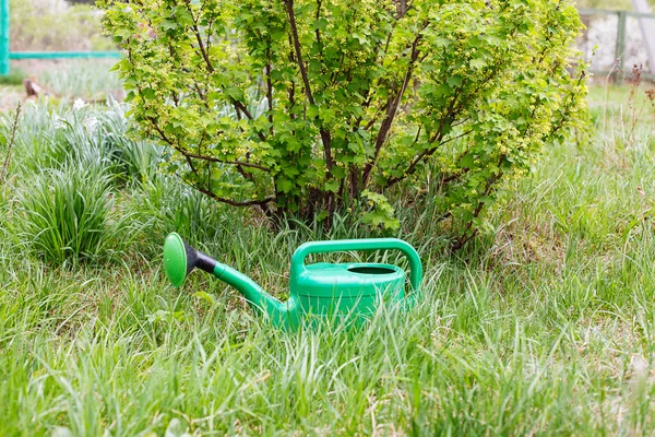 Nova lata de rega verde em pé na grama — Fotografia de Stock