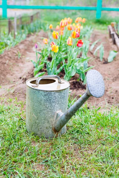 Velho, enferrujado regador de lata de pé na grama — Fotografia de Stock