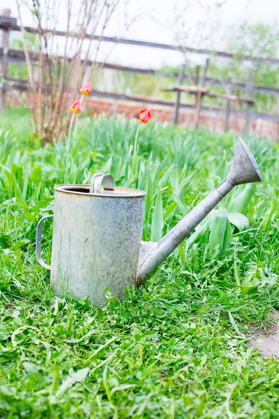 Velho, enferrujado regador de lata de pé na grama — Fotografia de Stock