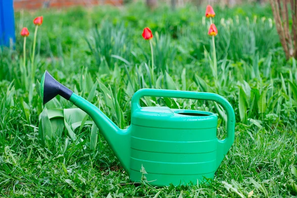 Nova lata de rega verde em pé na grama — Fotografia de Stock