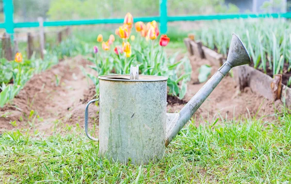 Old, rusty watering can standing on grass