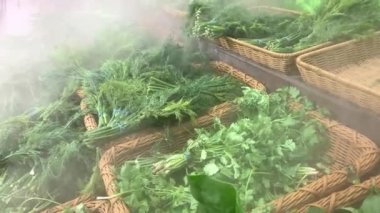 Süpermarkette nemlendirici ve taze otlarla dolu bir tezgah. Sulama sistemli market. Sulama spreyi.