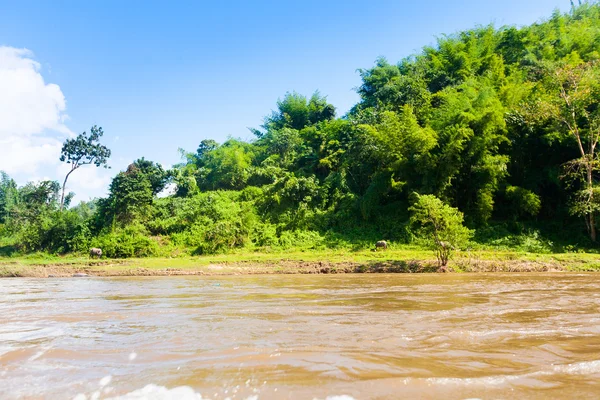 Paisaje fluvial en Tailandia — Foto de Stock