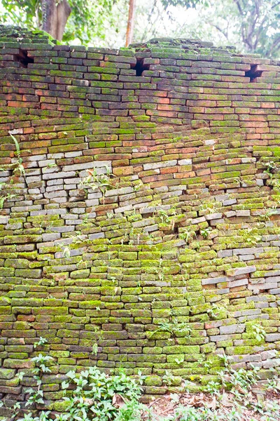 Ruines de temple à Sop Ruak, nord de la Thaïlande — Photo