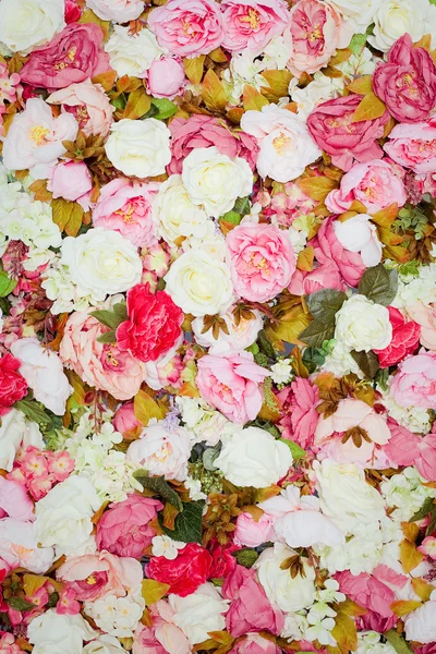 Patrón de rosas frescas de colores —  Fotos de Stock