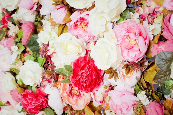Patrón de rosas frescas de colores — Foto de Stock