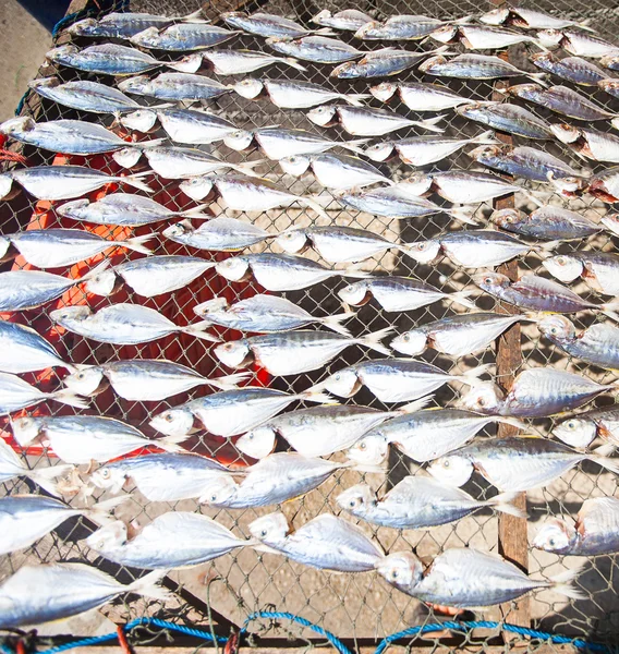 Рыбы, сухие для еды на местном рынке на мусульманском рыбацком заводе — стоковое фото