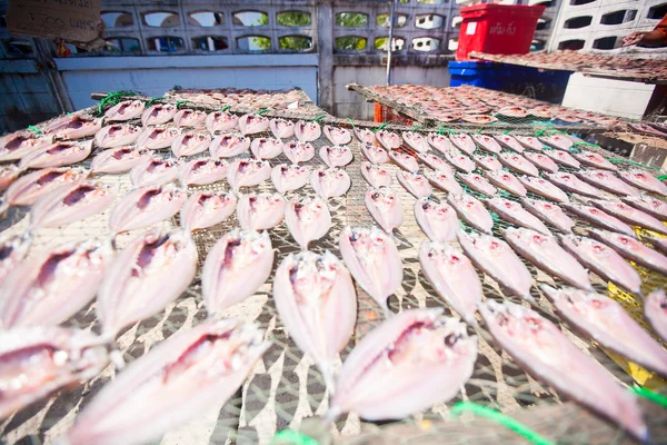 Fishes dry for food at the local market at Muslim fisherman vill — Stock Photo, Image