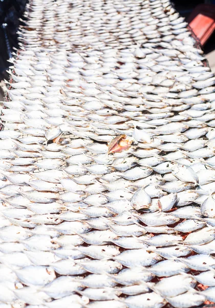 Fishes dry for food at the local market at Muslim fisherman vill — Stock Photo, Image