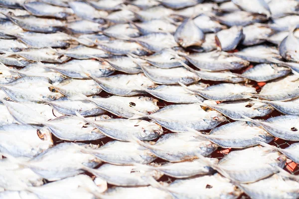 Ryby se suší potraviny na místním trhu v muslimských rybář vill — Stock fotografie