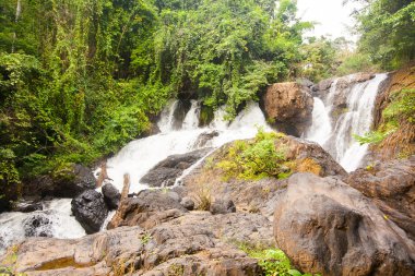Tayland tropikal orman şelale