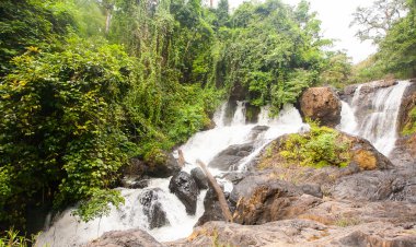 Tayland tropikal orman şelale
