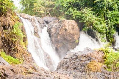 Tayland tropikal orman şelale
