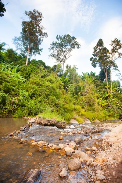 Fossefall i Thailand i tropisk skog – stockfoto