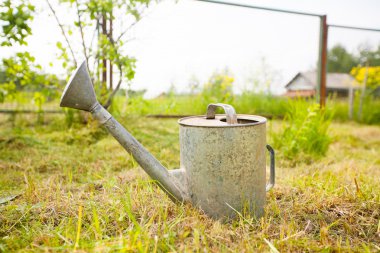 Eski, paslı sulama olabilir ayakta çimenlerin üzerinde