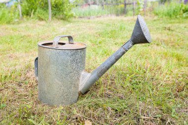 Eski, paslı sulama olabilir ayakta çimenlerin üzerinde