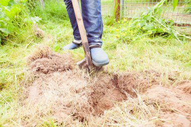 Portre fotoğraf adamın bahçesinde toprak kazma