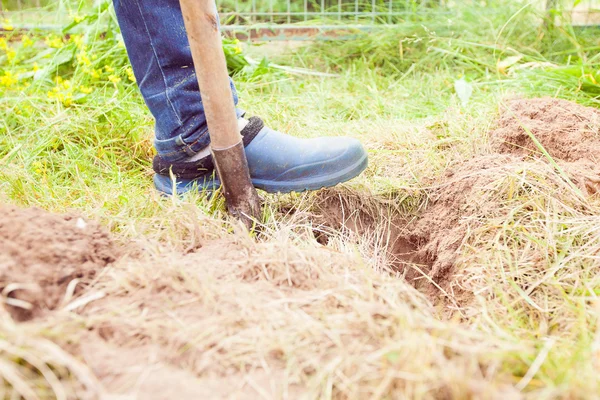 Closeup photo of man digging soil at garden — Stock Photo, Image