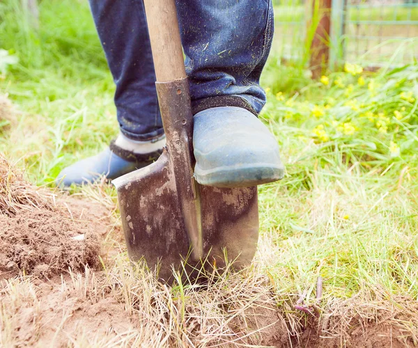 Close-up foto van man graven bodem op tuin — Stockfoto