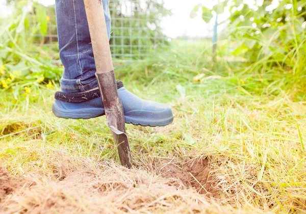 Closeup photo of man digging soil at garden — Stock Photo, Image