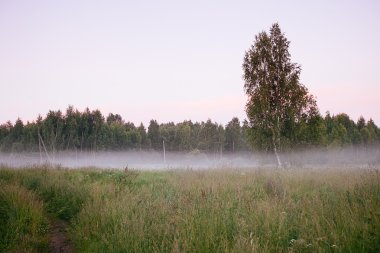 Güzel kalın sis gündoğumu sonbahar sonbahar manzara üzerinde wi alanları