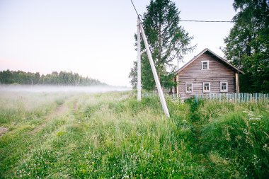 Güzel kalın sis gündoğumu sonbahar sonbahar manzara üzerinde wi alanları