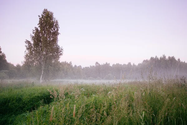 Vackra tjock dimma sunrise hösten hösten landskap över fält wi — Stockfoto