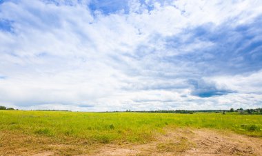 Bahar Yaz arka plan - yeşil çim alan meado içinde kırsal yol
