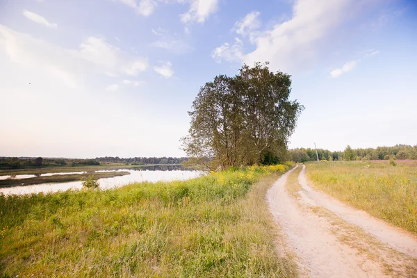 Bahar Yaz arka plan - yeşil çim alan meado içinde kırsal yol — Stok fotoğraf